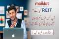 What is REITs ( Real Estate