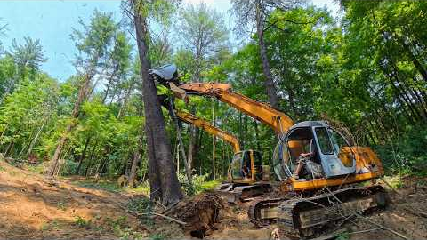 Building A House For A Family : Ep2 - Clearing Land