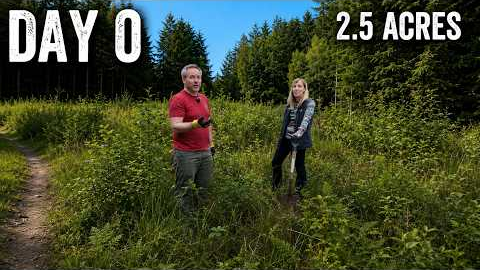 We Bought 2.5 Acres of Scottish Woodland to Build Our Dream Home!