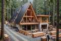 From a Remote Forest to a Stunning