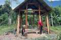 The First Wooden Planks for the Walls,